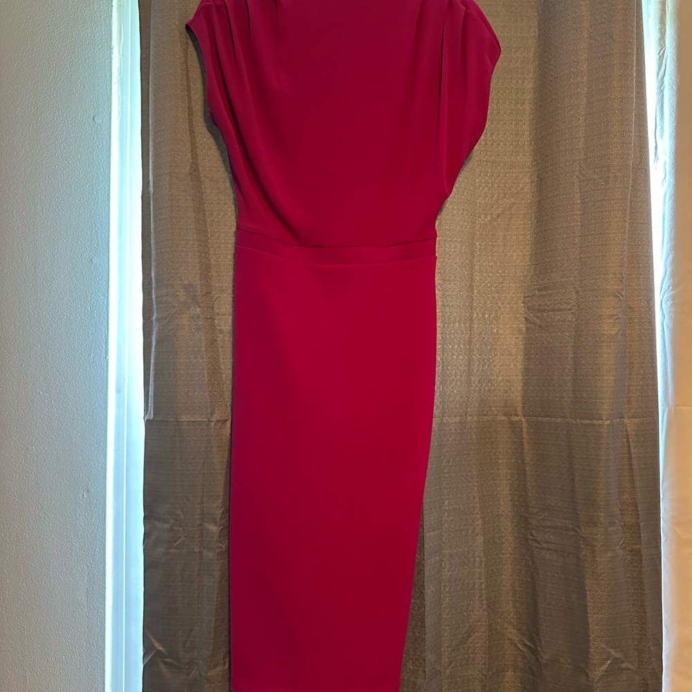 Express Pink Sheath Midi Dress